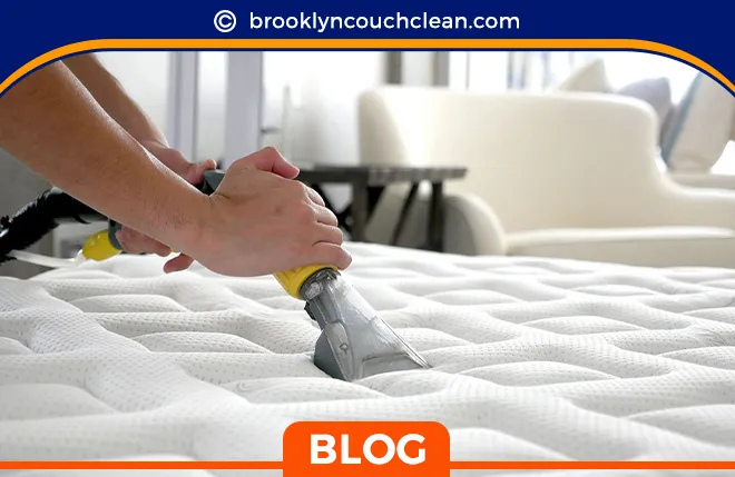carpet cleaning in brooklyn, carpet cleaning in new york, carpet cleaning brooklyn, carpet cleaners in brooklyn, carpet cleaners in new york, commercial carpet cleaning, commercial carpet cleaning in brooklyn, brooklyn rug cleaners, rug cleaning services in brooklyn, same day carpet cleaning, same day rug cleaning