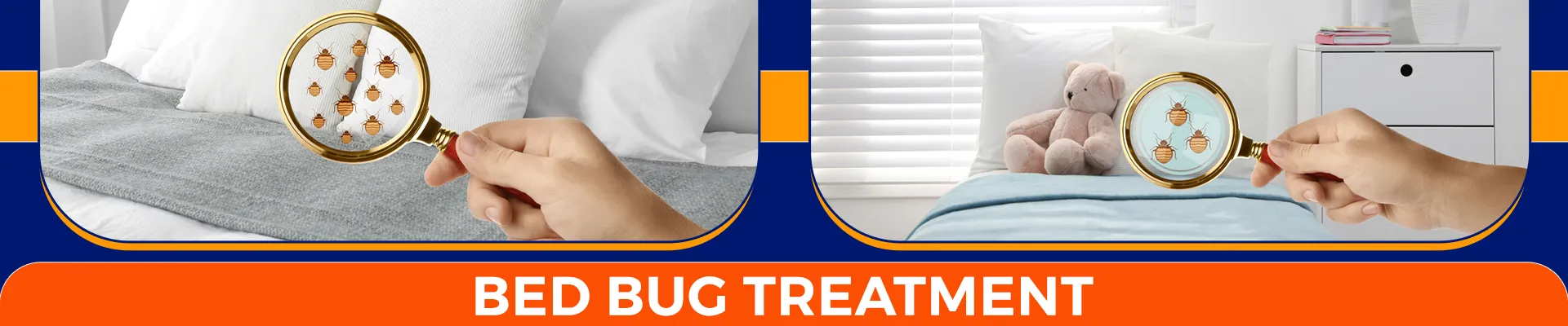 carpet cleaning in brooklyn, carpet cleaning in brooklyn, carpet cleaning brooklyn, carpet cleaners in brooklyn, carpet cleaners in brooklyn, commercial carpet cleaning, commercial carpet cleaning in brooklyn, brooklyn rug cleaners, rug cleaning services in brooklyn, same day carpet cleaning, same day rug cleaning