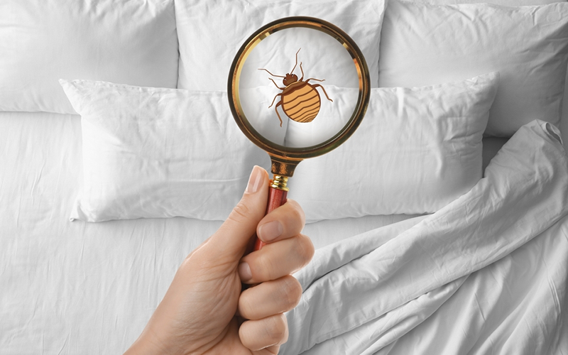 carpet cleaning in brooklyn, carpet cleaning in brooklyn, carpet cleaning brooklyn, carpet cleaners in brooklyn, carpet cleaners in brooklyn, commercial carpet cleaning, commercial carpet cleaning in brooklyn, brooklyn rug cleaners, rug cleaning services in brooklyn, same day carpet cleaning, same day rug cleaning