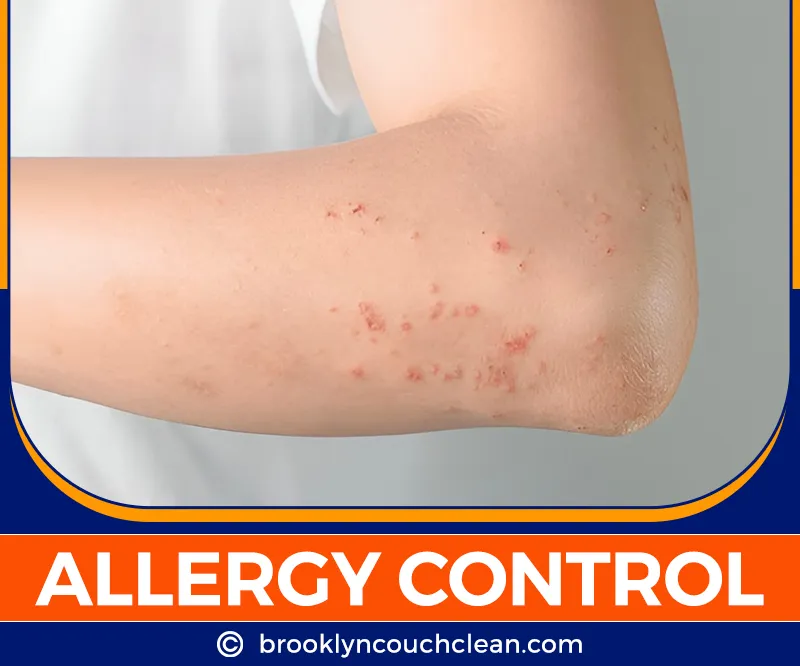 carpet cleaning in brooklyn, carpet cleaning in new york, carpet cleaning brooklyn, carpet cleaners in brooklyn, carpet cleaners in new york, commercial carpet cleaning, commercial carpet cleaning in brooklyn, brooklyn rug cleaners, rug cleaning services in brooklyn, same day carpet cleaning, same day rug cleaning