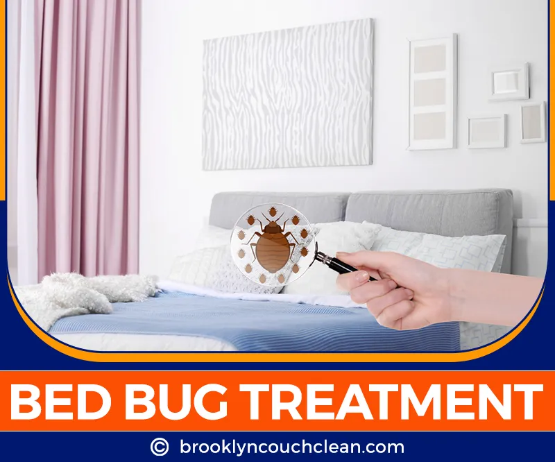 carpet cleaning in brooklyn, carpet cleaning in new york, carpet cleaning brooklyn, carpet cleaners in brooklyn, carpet cleaners in new york, commercial carpet cleaning, commercial carpet cleaning in brooklyn, brooklyn rug cleaners, rug cleaning services in brooklyn, same day carpet cleaning, same day rug cleaning